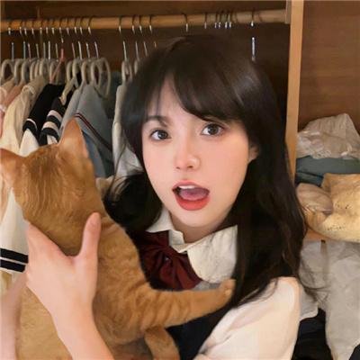 了不起的甄高贵